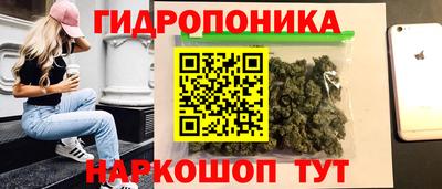 стаф Кулебаки